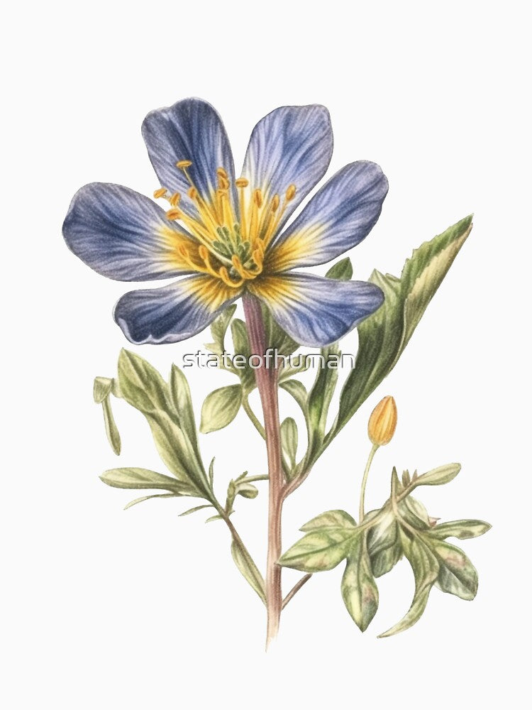 Beautiful Blue Flower Botanical Sketch, High Resolution Print on Demand Illustration for Various Products, Perfect for Wall Art, Clothing, and More by stateofhuman