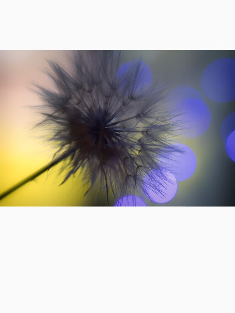 Just Dandy a dandelion seed puff by MarniePatchett