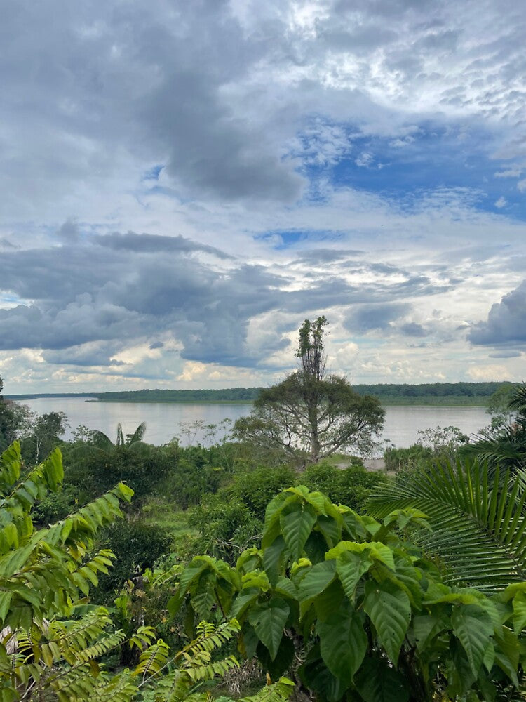 The Amazonian River by Lost & Local