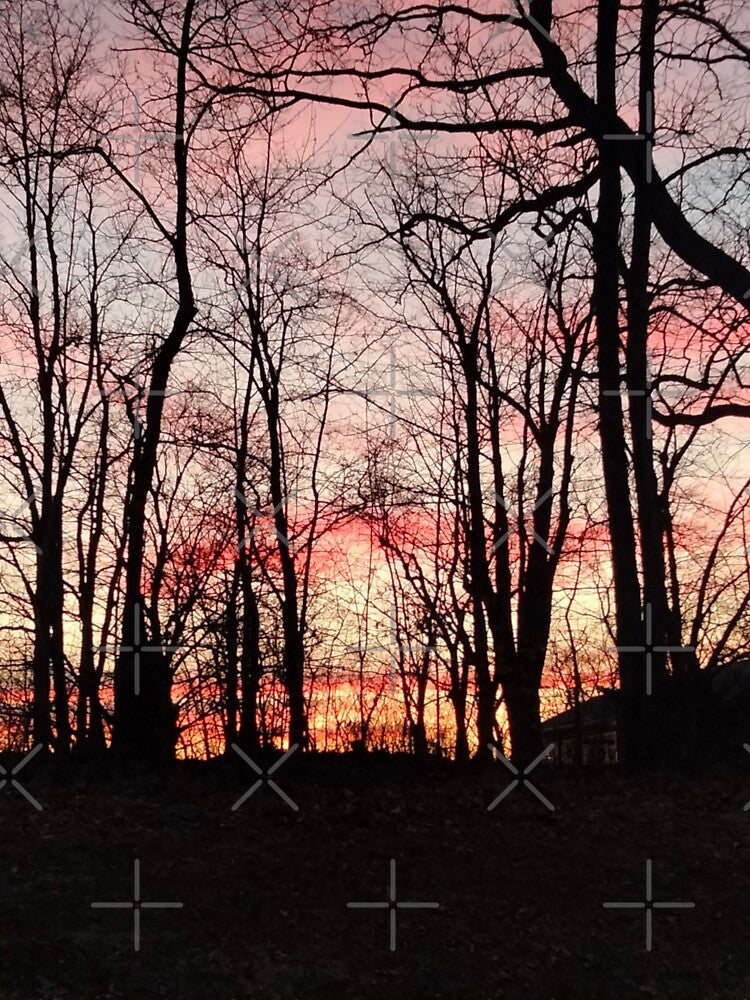 Rainbow Forest Sunset I Collection by AGillis691