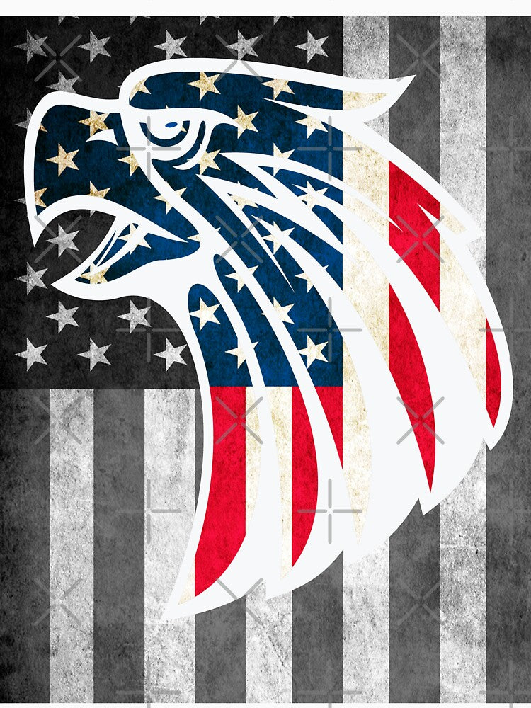 American eagle flag by erozzz