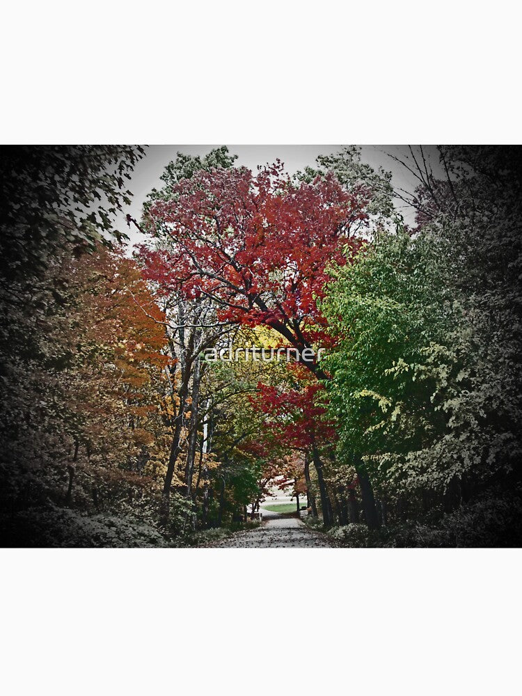 Vivd Autumn Lane Tunnel Vision by adriturner