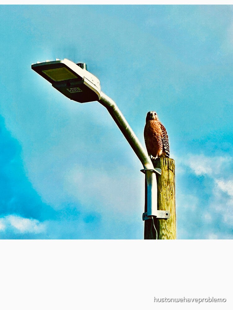 Hawk Lookout by hustonwehaveproblemo