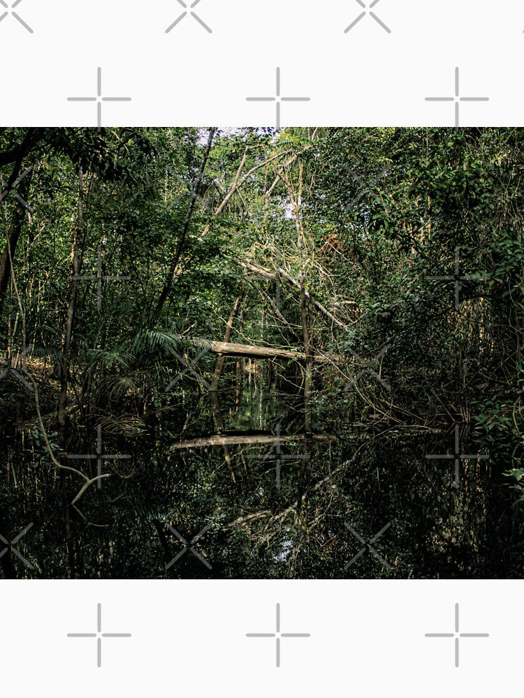 Amazon Rain Forest by Guarany