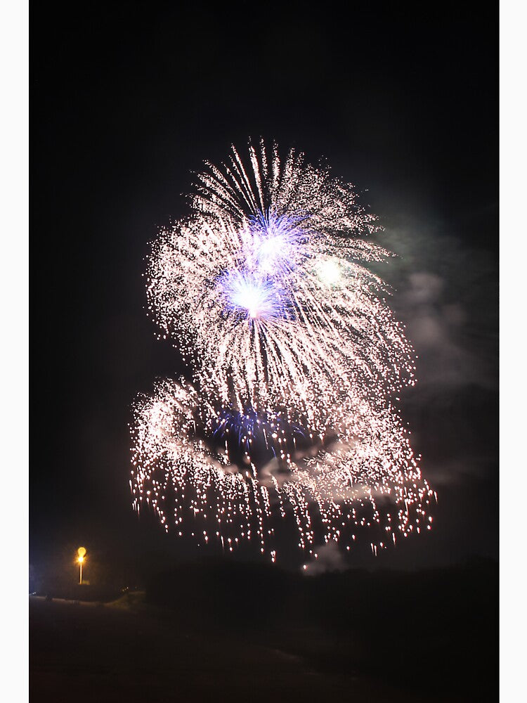 Fireworks Burst Over Dark Sky, Long Exposure Celebration Night Display by Nmallia