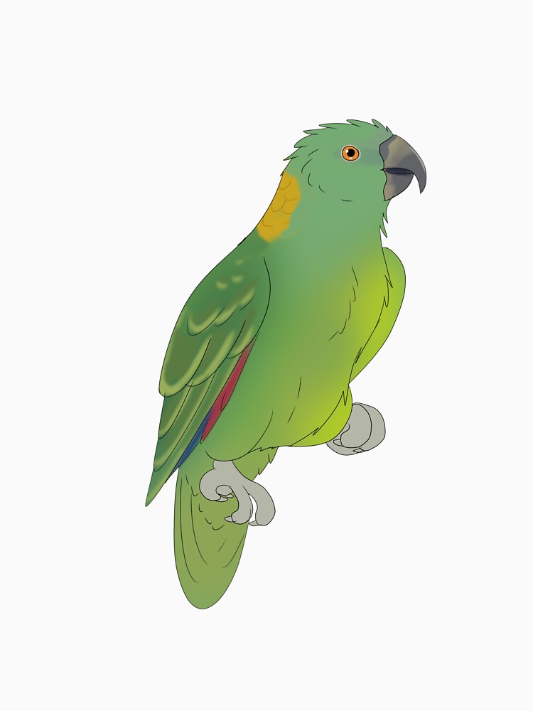 amazon by seagaull