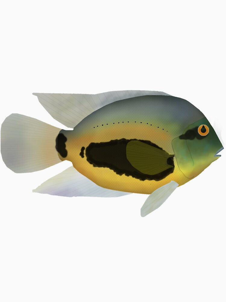 Uraru by fishfolkart