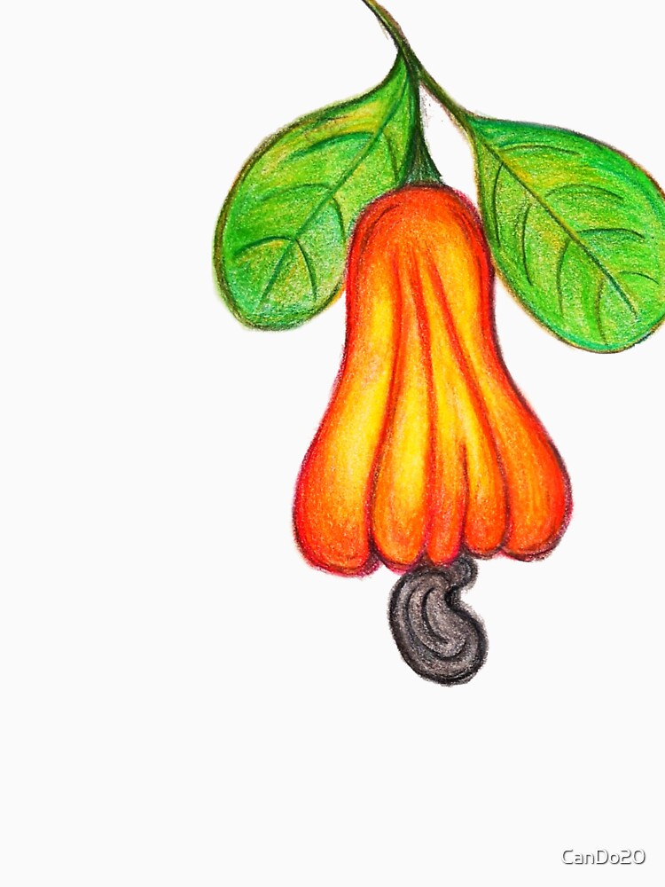 Tropical Cashew Fruit by CanDo20