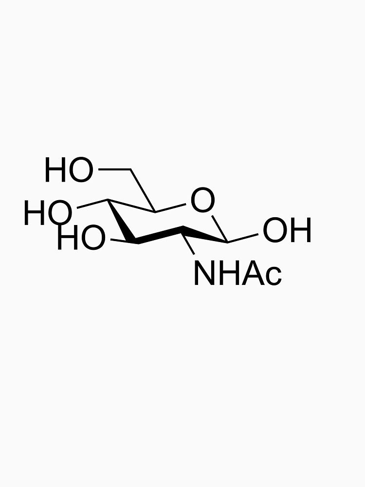 GlcNAc by Glyco-Shop