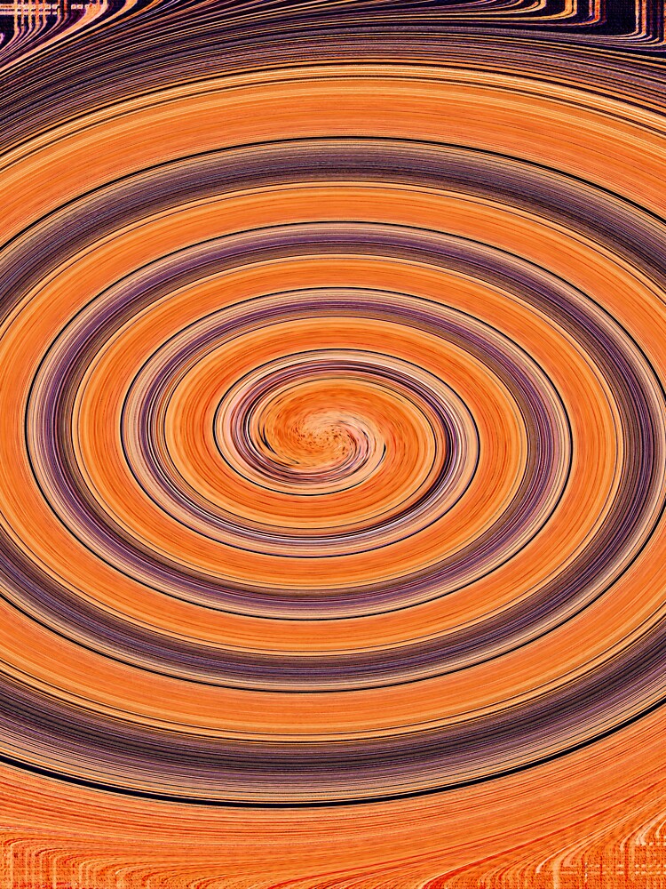 Royal Palm Seed Pod Abstraction by Tom Janca