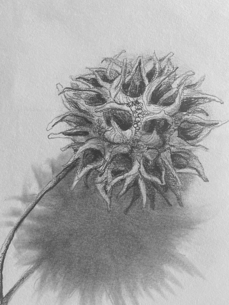 Pod by Wendy Leigh Curtis