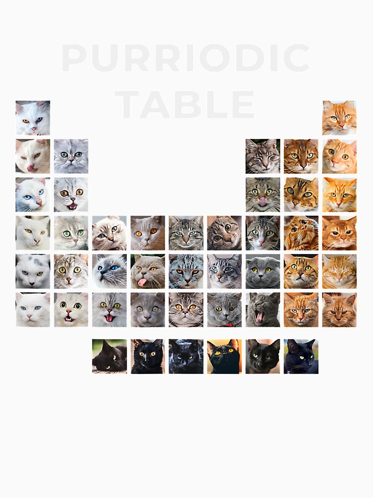 Funny Cat Chemistry Pun Periodic Table Gift For Men Women by KendraHenke