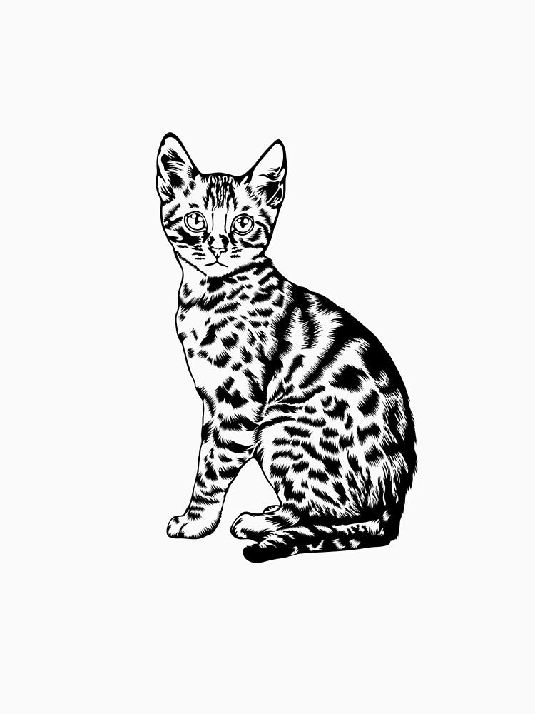 Hand Drawn Bengal Cat by jonrdesign