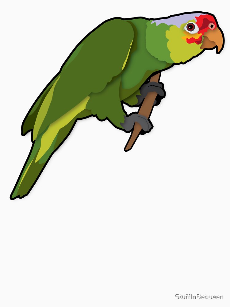 Curious Red-Lored Amazon Parrot by StuffInBetween