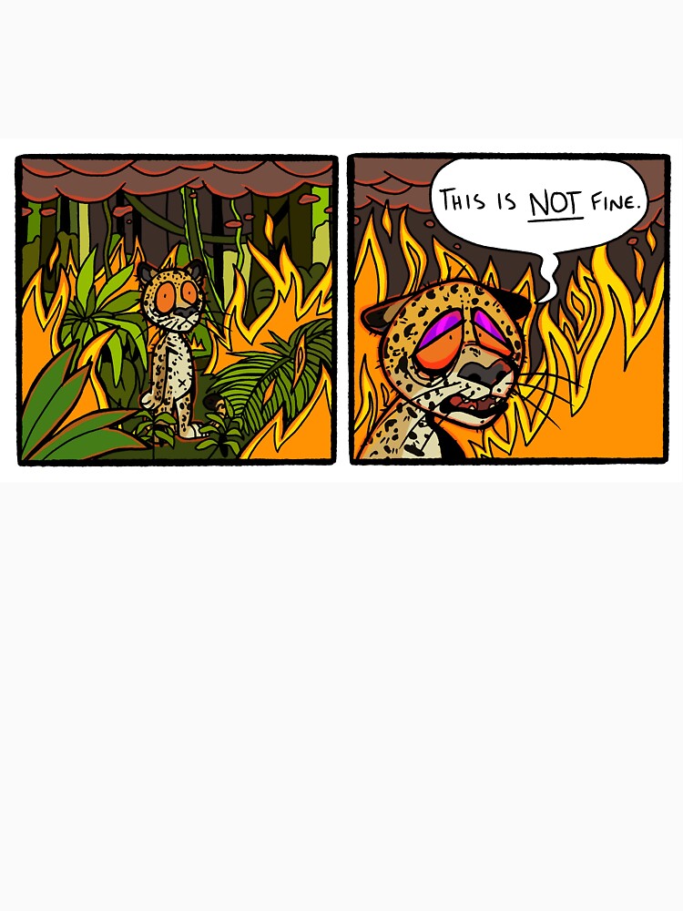 Amazon buring by dogboot