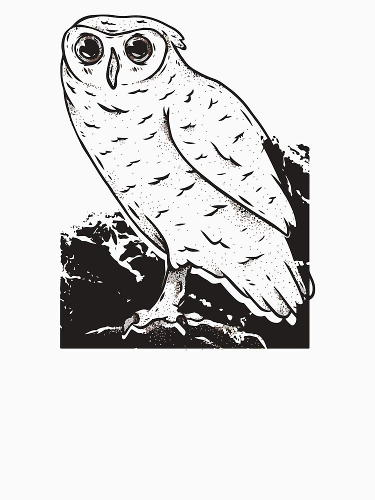 white owl by zaher97