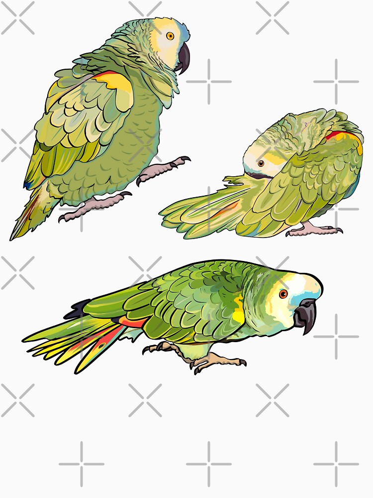 Blue Fronted Amazon Parrot Sticker Pack by Zurickdesigns