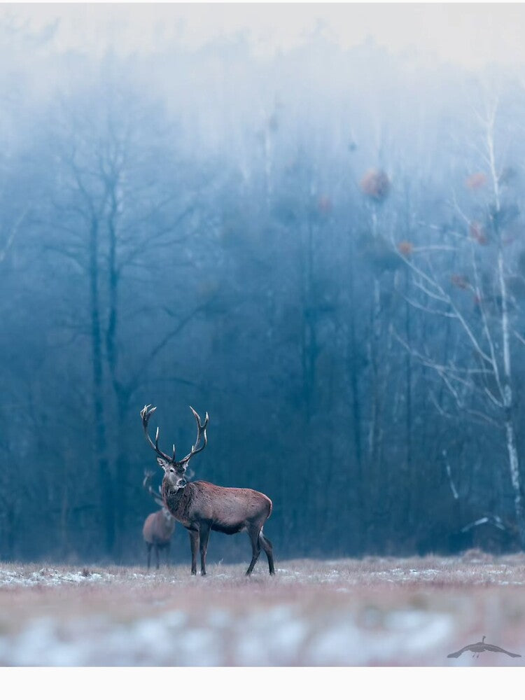 Rustic Payable On Death aAntler Spirit by Blosslandscape