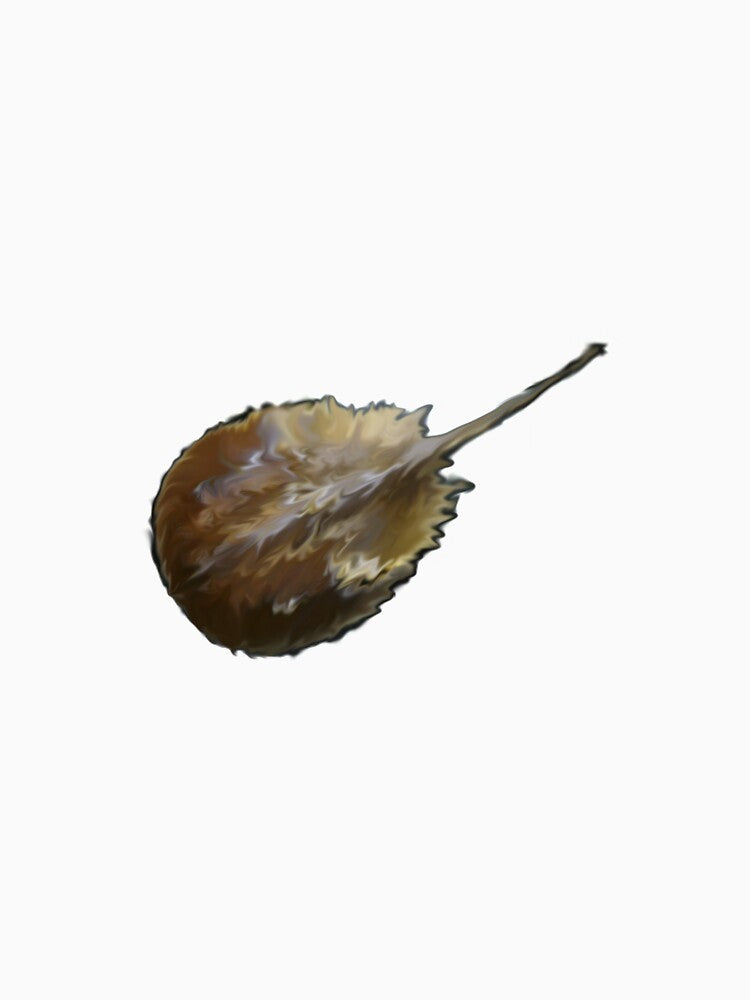 Horseshoe Crab by Rik Verbeek