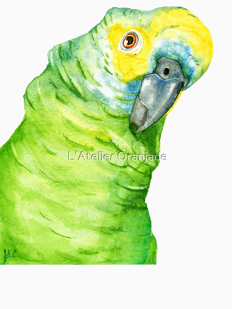 Blue fronted amazon parrot tropical brésil watercolor by L'Atelier Oranjade
