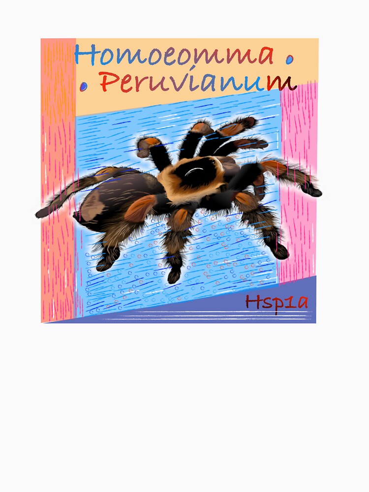 Peru spider amazon exotic by Masatitostores