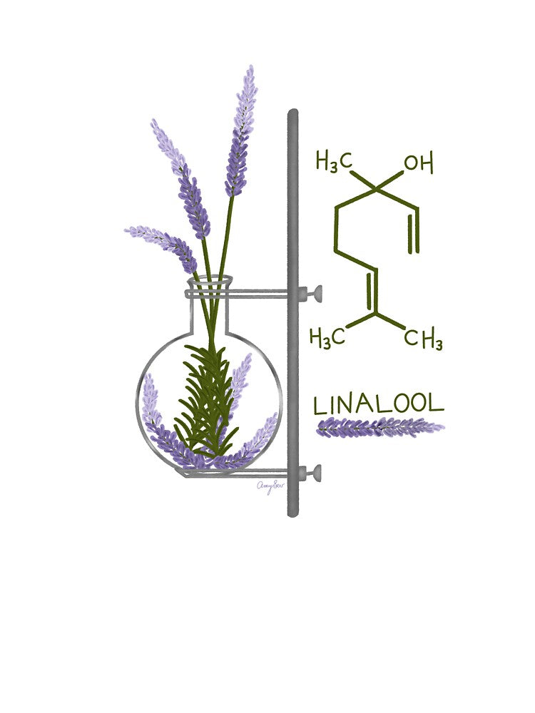 Lavender Linalool, Chemistry Teacher Gift, Nerdy Science, sticker, mug, tshirt by AmySevArts