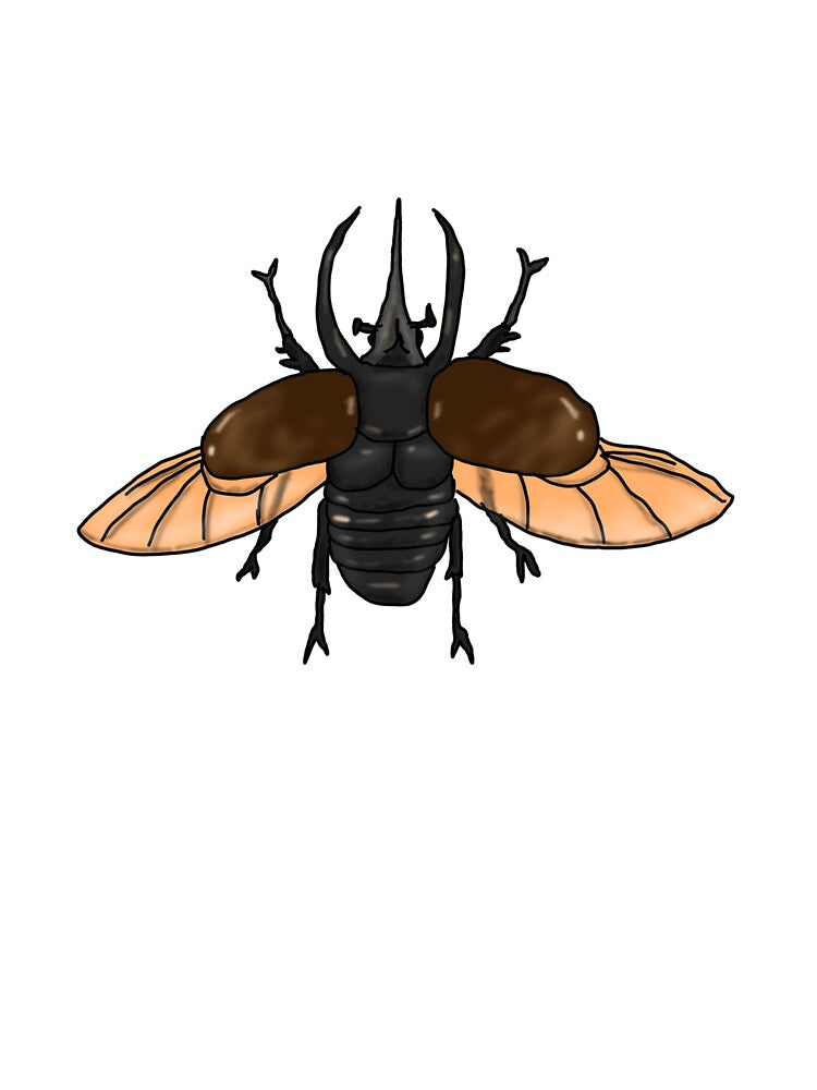 Atlas Beetle by LewisJ-Designs