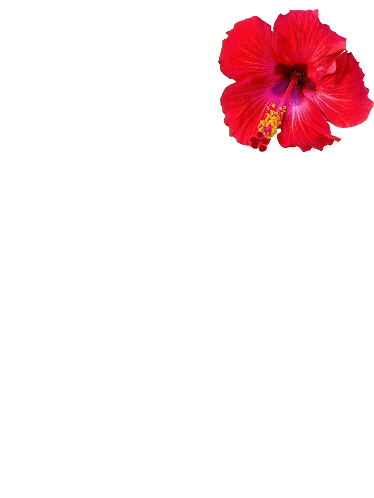 Red Hibiscus Flower by AlohaLeeKim Unisex , , , Long Sleeve Tee