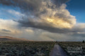 Spring Storm Nevada Print Unisex , , , Long Sleeve Tee