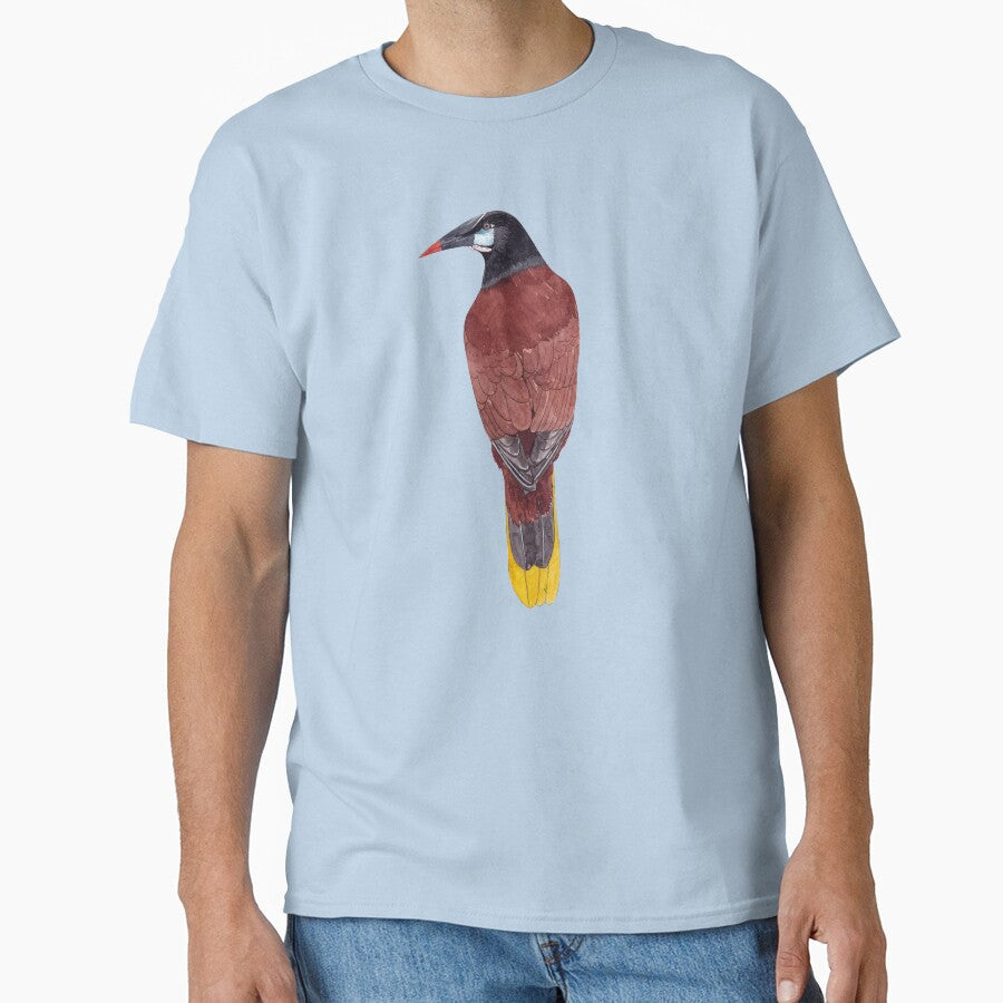 MONTEZUNA OROPENDOLA-Psarocolius montezuma by BEATRIZ ABAITUA