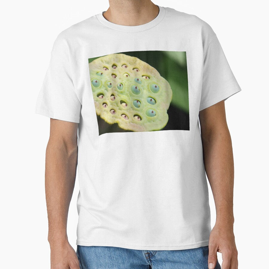 Lotus Pod by okomedesign
