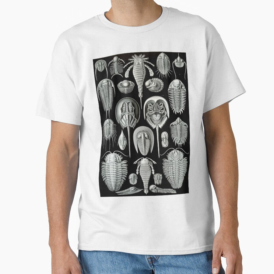 Haeckel Trilobite by neonxiomai