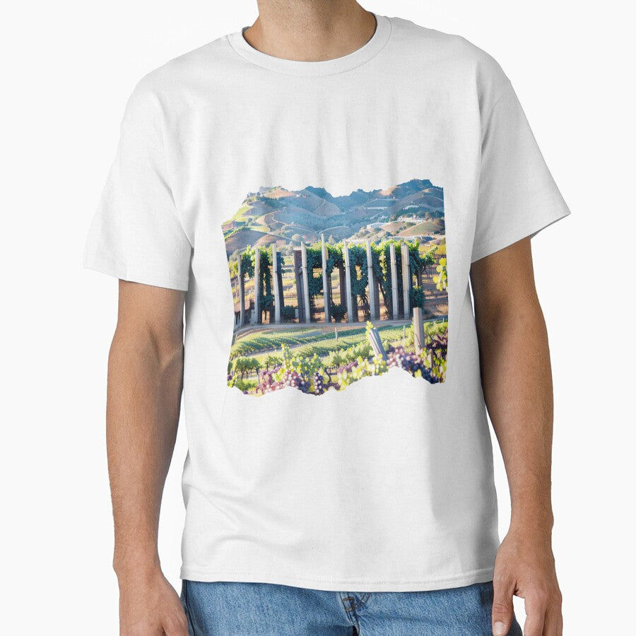 CALIFORNIA 24 12 by maveluzone