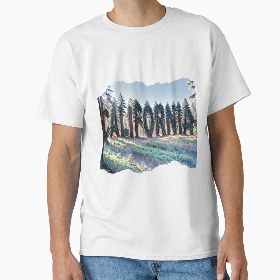 CALIFORNIA 24 18 by maveluzone