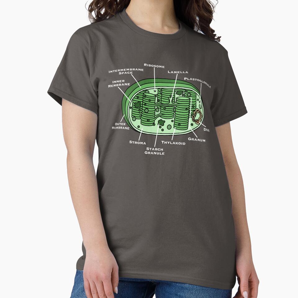 Chloroplast Diagram by BundaBear