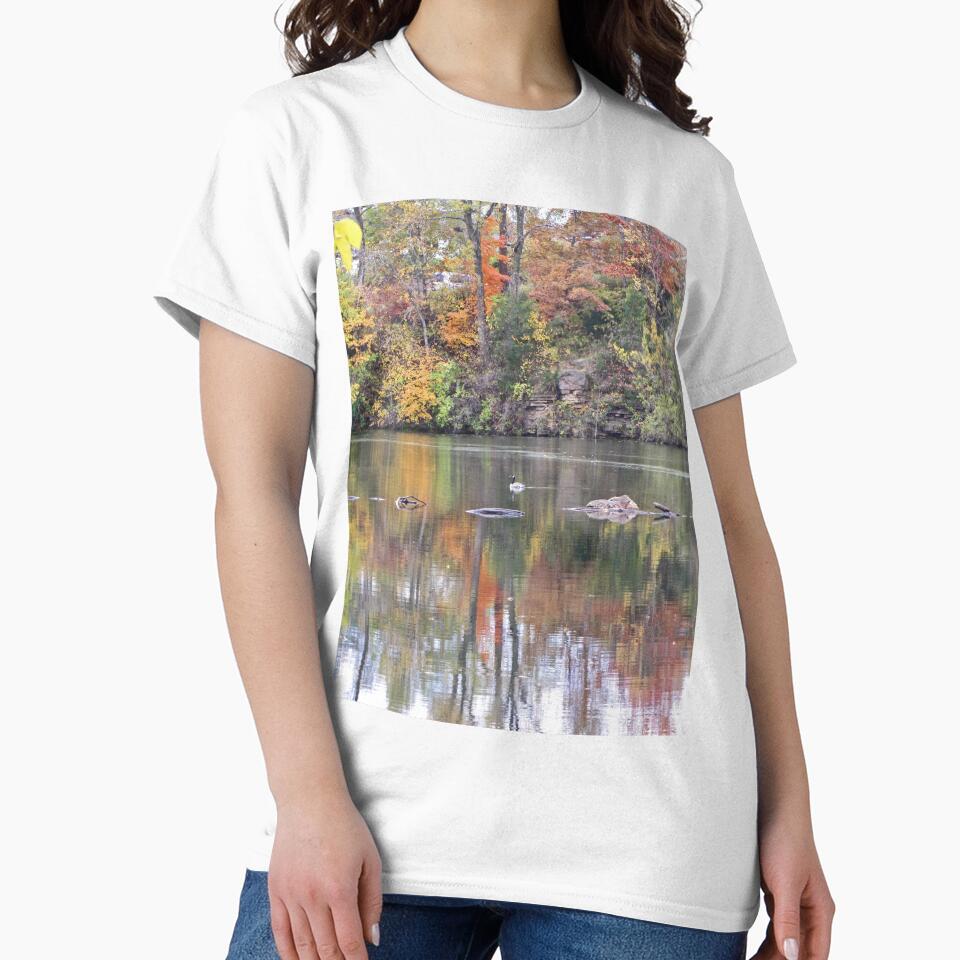 Swimming Duck Among Fall Foliage Reflections Photograph by adriturner