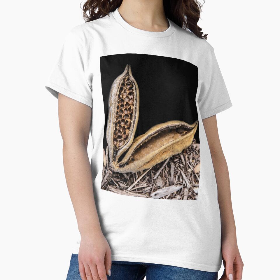 Seed Pod by heatherfriedman