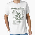 Vintage Photosynthesis Diagram Plant Biology Science Chart by FreshVibe Prints
