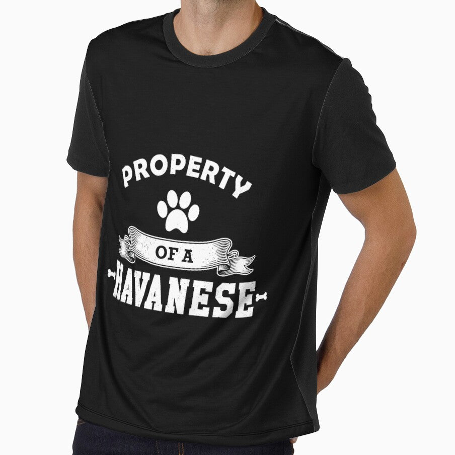 Havanese Dog - Property of a havanese by GiaoCalonas