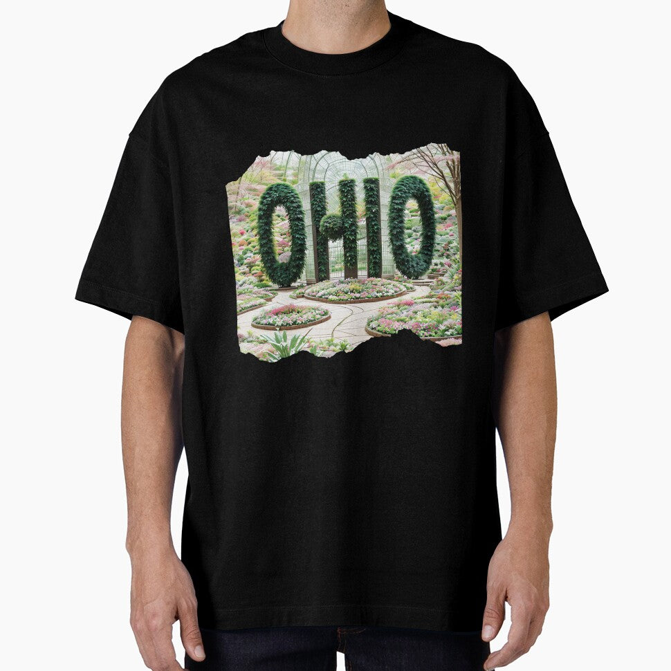 OHIO 24 17 by maveluzone