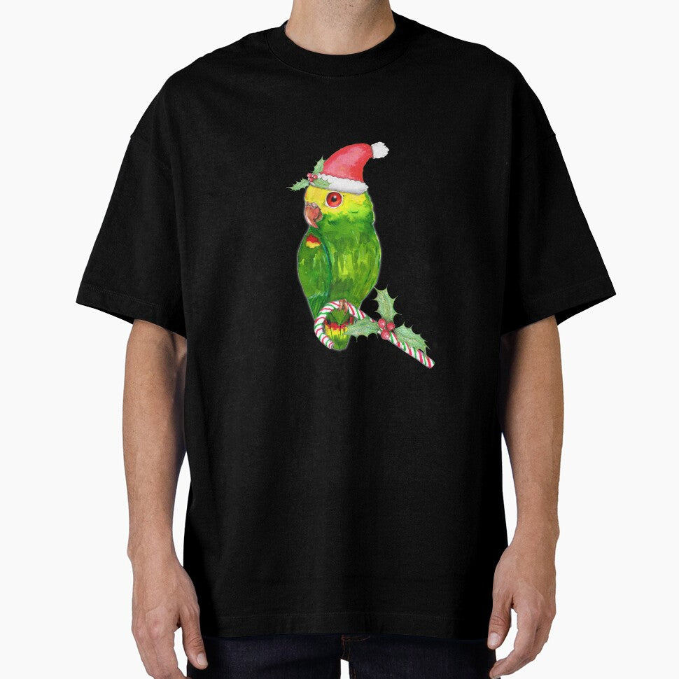 Amazon parrot Christmas style by Bwiselizzy