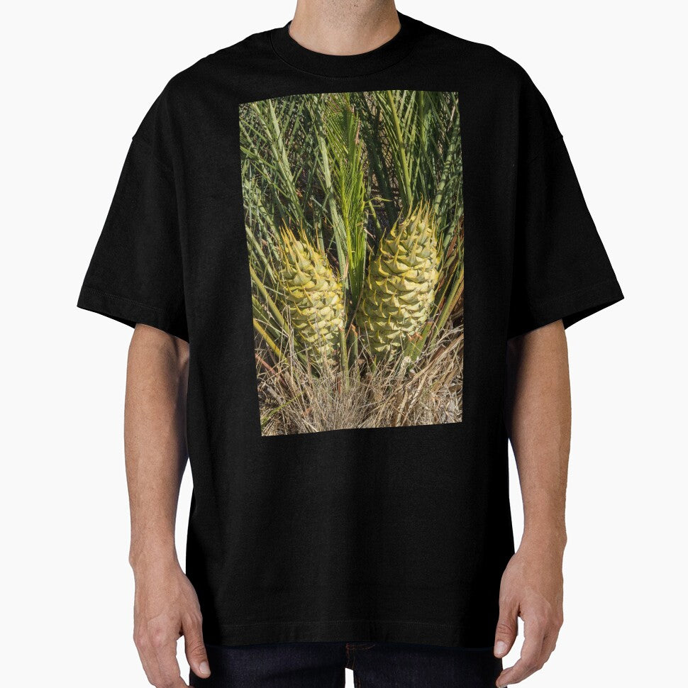 Cycad - Macrozamia fraseri by DPalmer