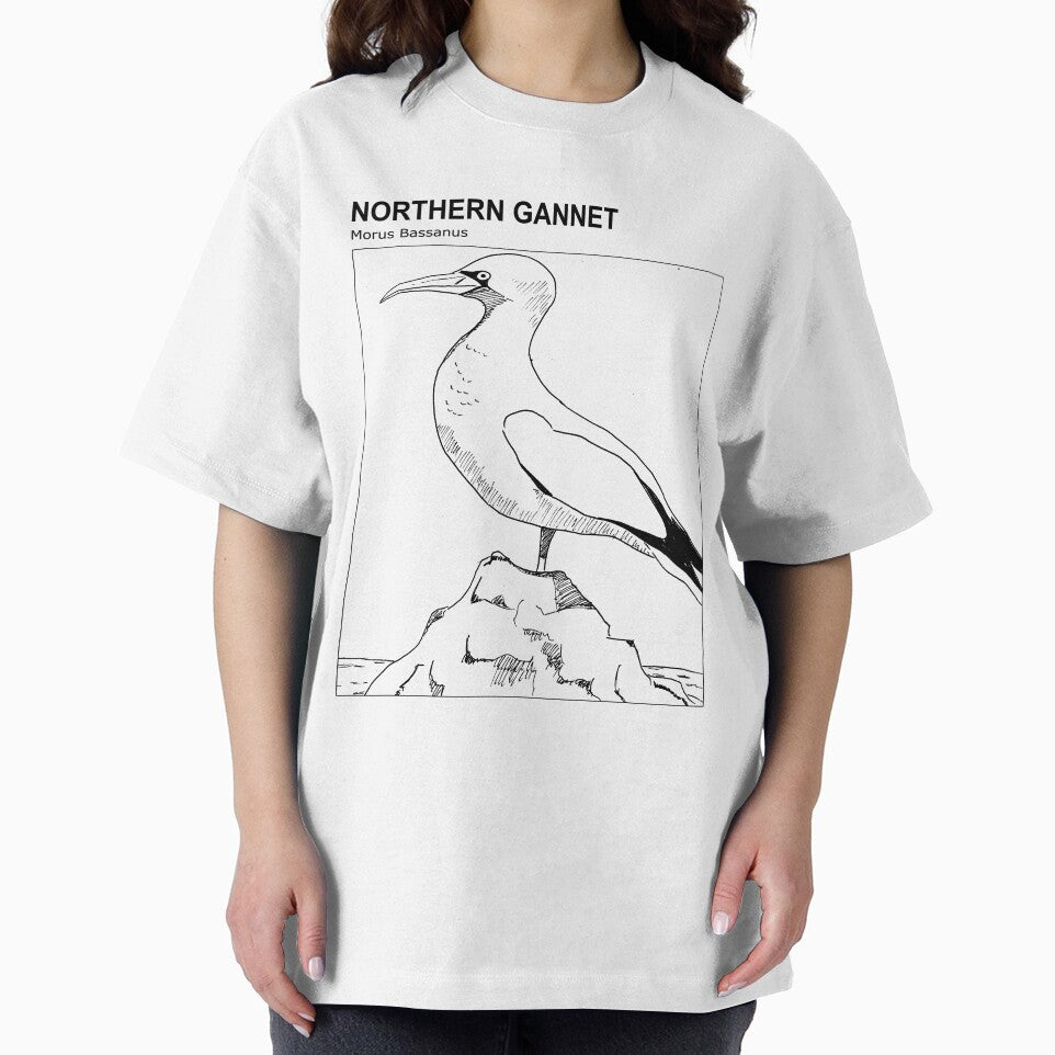 Northern Gannet (English version) - Sketch by TheLostBreton