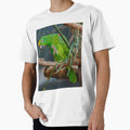 PARROT ~ Yellow Crowned Amazon DJIVPVWJWZG by David Irwin by tasmanianartist